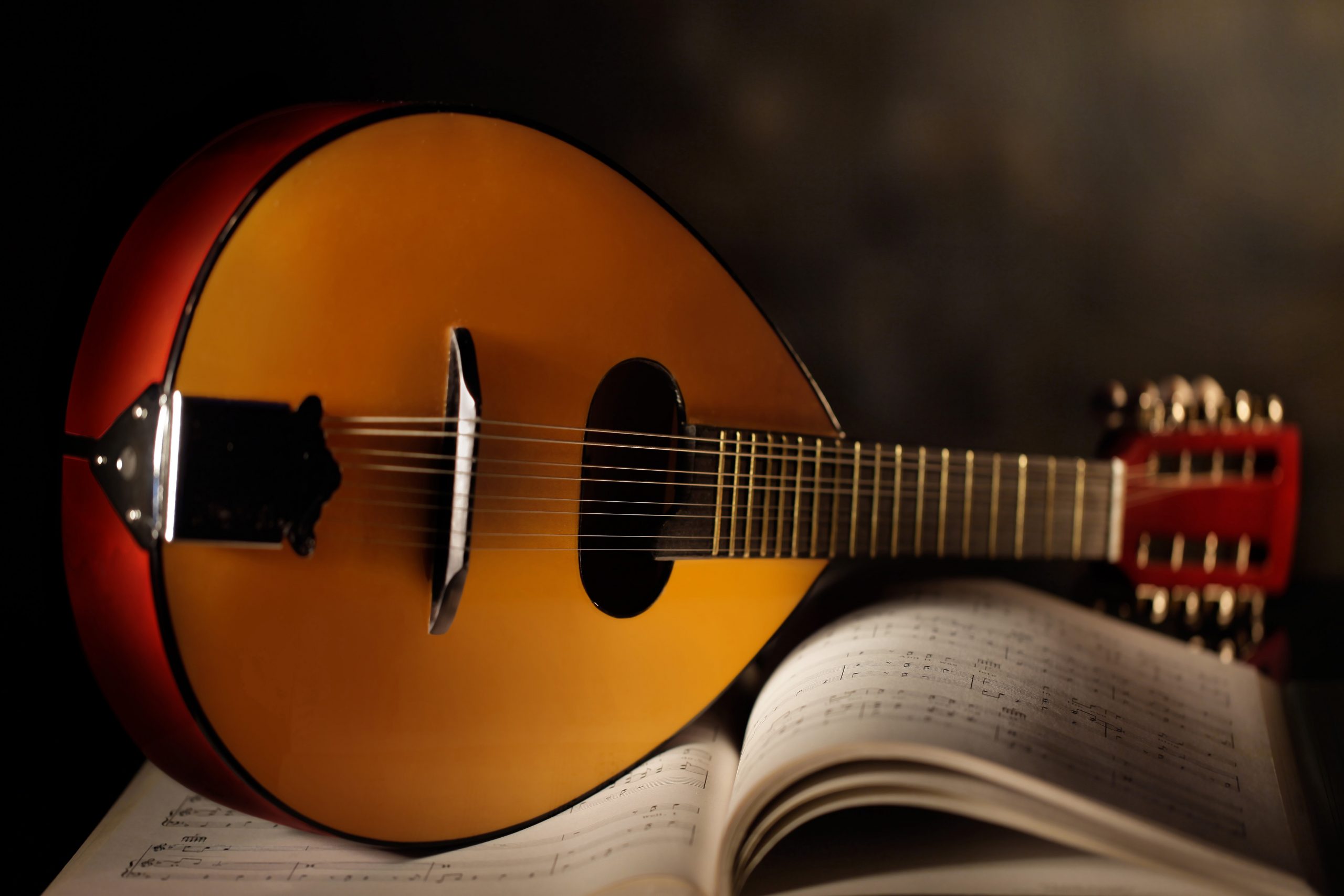 92 Black Mandolin Close Royalty-Free Images, Stock Photos & Pictures |  Shutterstock